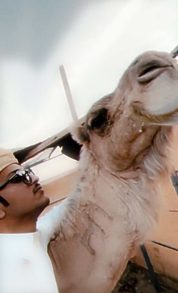 cuvii77's tweet photo. #الشهري_سعد / @sa2shh 

 «أنا بدوي 
ثوبي على المتن مشقوق
ومثل الجبال السمر صبري ثباتي» https://t.co/MbZmXP7PKL
