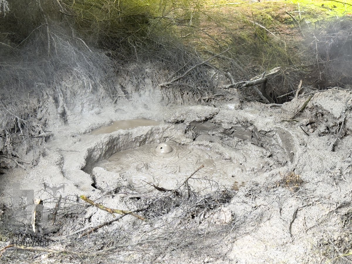 thaywoodphoto's tweet photo. Rotorua is a centre of Geothermal Activity where a Sulphurous "rotten eggs" can hang in the air. Kuirau Park is a place to see some of ths for free - Even the local @parkrun has a course that runs over a Geothermal area! #geothermal #nz #newzealand #springs #boilingmud https://t.co/2gVmnuHEyk