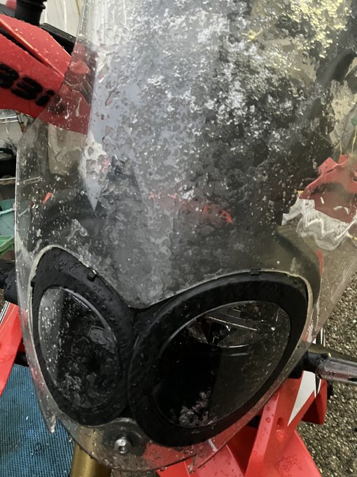 みて、この男前ラリーくん 