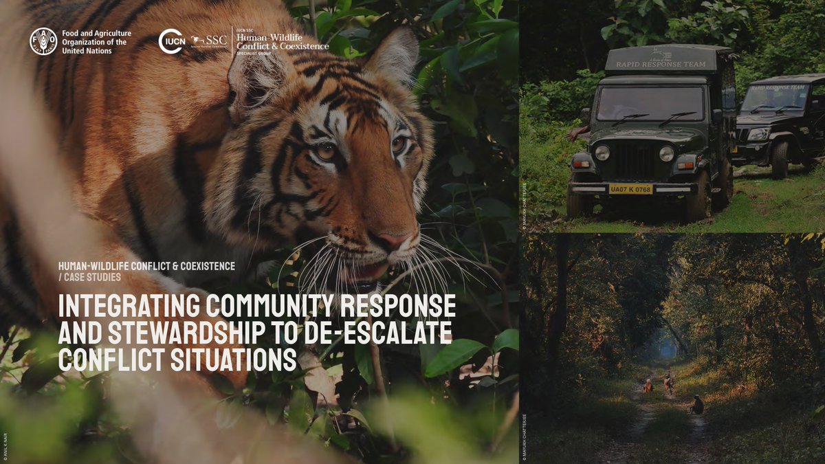 🚨New case study Our case study outlines how @wti_org_india and partners, supported by @USFWS and @chesterzoo, established primary response and rapid response teams to manage negative situations between local communities and wildlife. hwctf.org/_files/ugd/7ac…