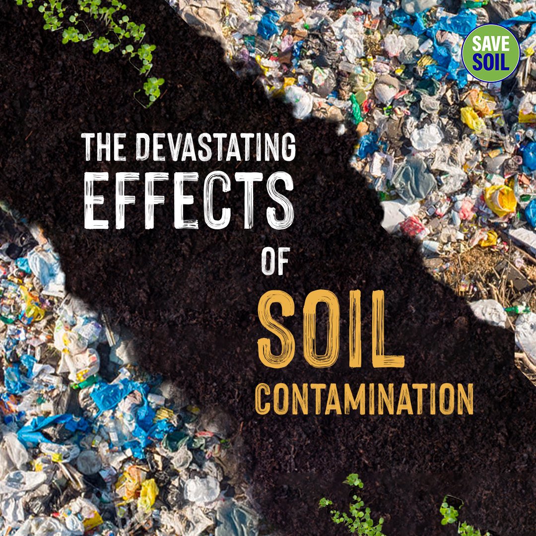 Buying 🍉 fruits and 🫛 veggies? You might want to know what kind of 🌱 soil they were grown in.
Whether you buy them fresh from the 👩‍🌾 farmer’s market or a 🏬 supermarket, you expect them to be safe to eat.
But that may not always be the case. Unless you are purchasing directly
