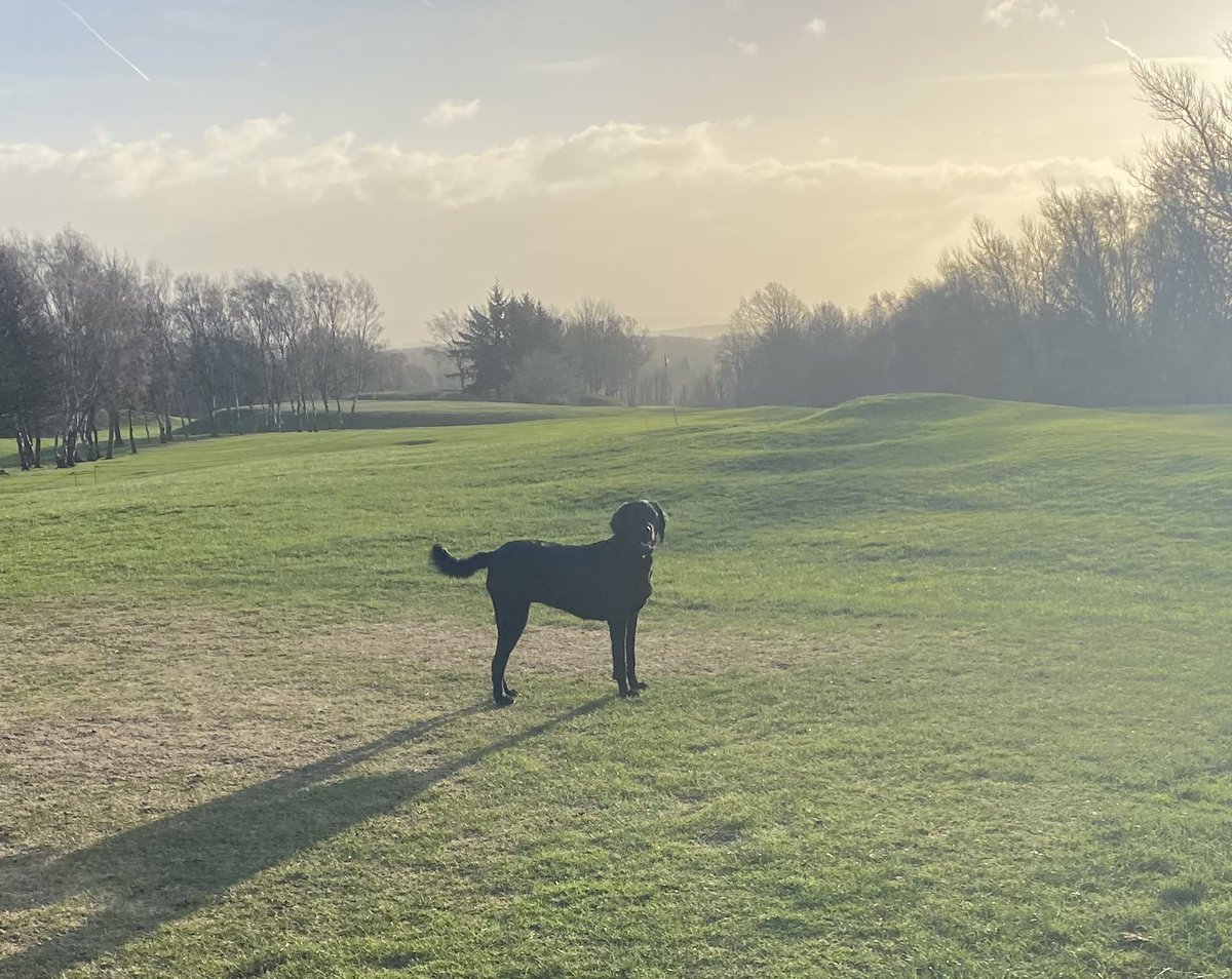 Mark Crossley tweet media