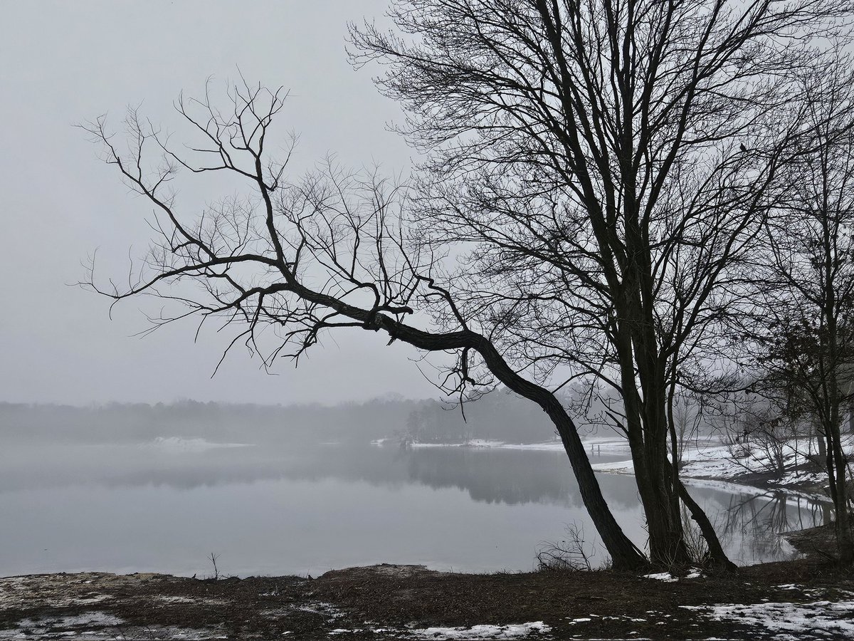 The fog silenced the sun, shrouding the memory of yesterday...
Have a great midweek my friends ☕️🫶☁️ 
#nature #wednesdaythought 
#Winter #January24 #photos 
#NaturePhotograhpy #fog