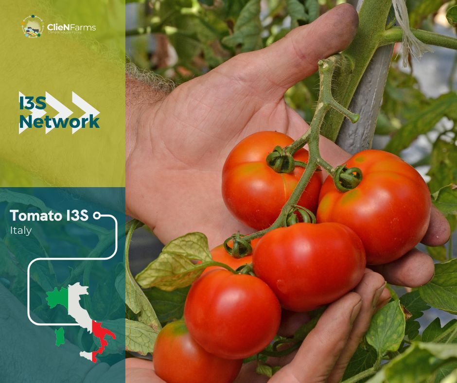 🍅🍅 The Italian I3S will made operational an integrated “closing C & nutrient loops” strategy called #NUTRISOM for the two main farming systems in Northern Italy. Want to find out more? Click here 👉 buff.ly/48IWwK3