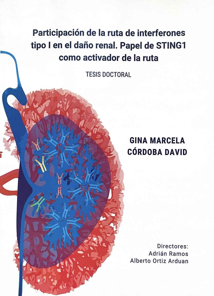 La inmunidad innata y los interferones son importantes en la enfermedad renal. Nuestra doctoranda Gina Córdoba lo defenderá el viernes 26 de enero de 2024