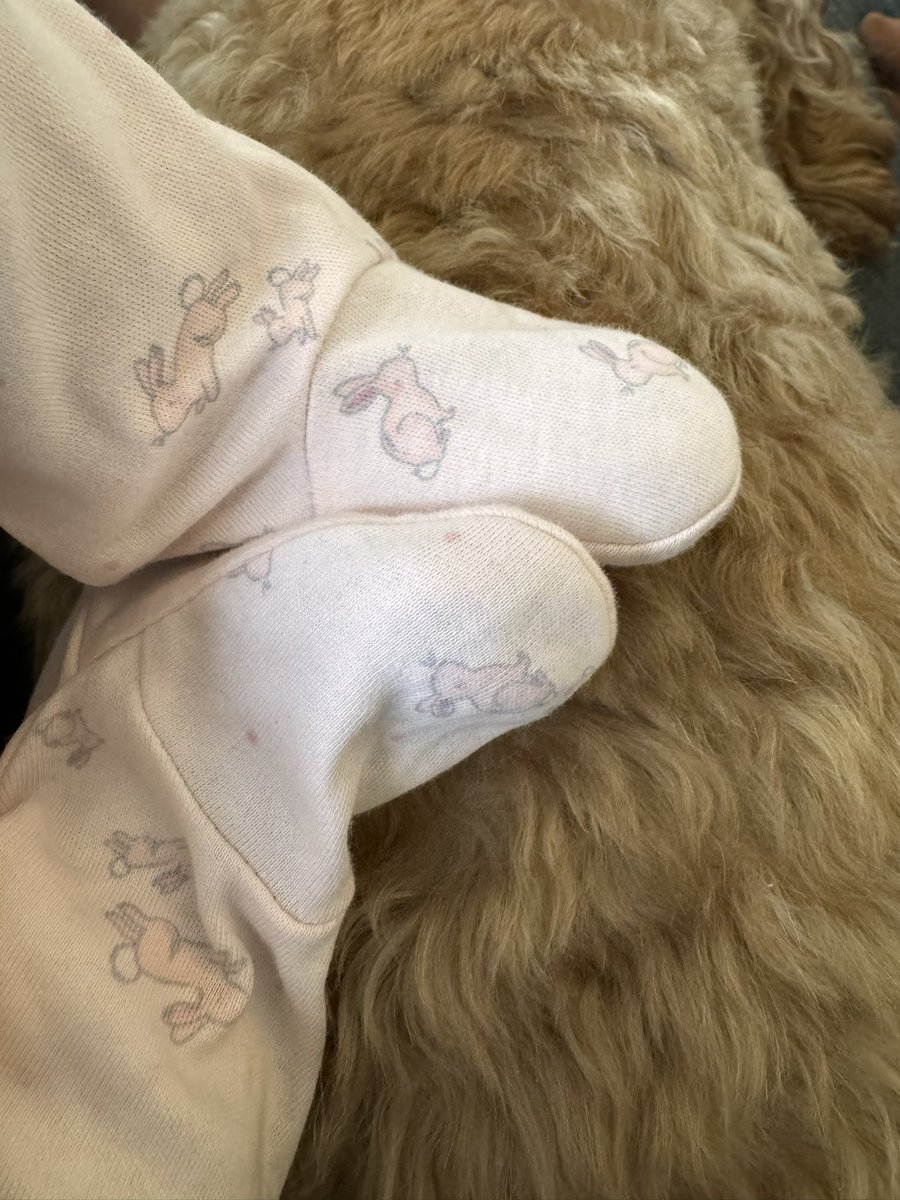 Mrs Chase PE tweet media