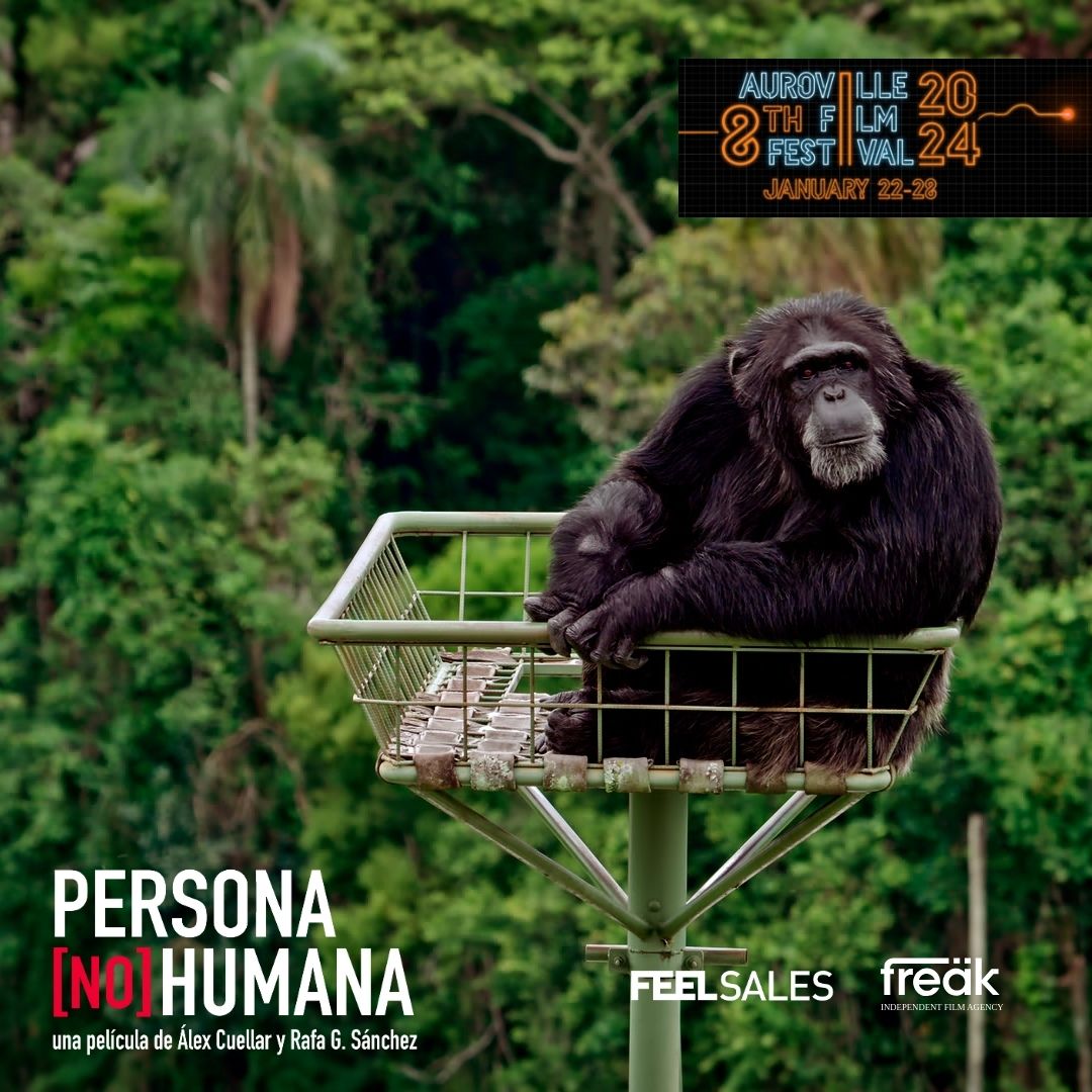 'Persona [no] humana', de Álex Cuéllar y Rafa G. Sánchez, ha sido seleccionada en el 8º Auroville Film Festival de La India, que se celebra estos días 🤞.

El film, que se puede ver en <a href="/Filmin/">Filmin</a>, forma parte de nuestro catálogo en #Feelsales y #AgenciaFreak.