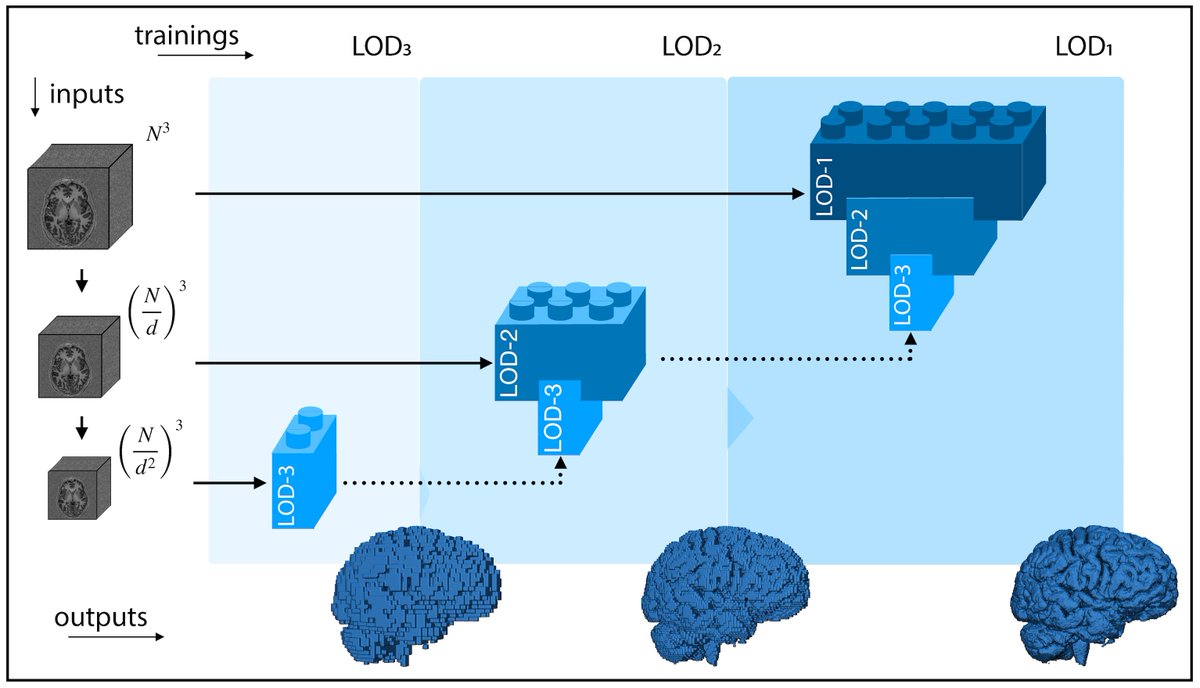 🥳 Finally out!! Our latest segmentation tool, called LOD-Brain has been published in Medical Image Analysis! 🧠🚨 It can segment any T1w (1.5T/3T) without atlas alignment nor preprocessing in less than a minute. With @LarsMuckli at @CCNi_UofG Paper: doi.org/10.1016/j.medi…