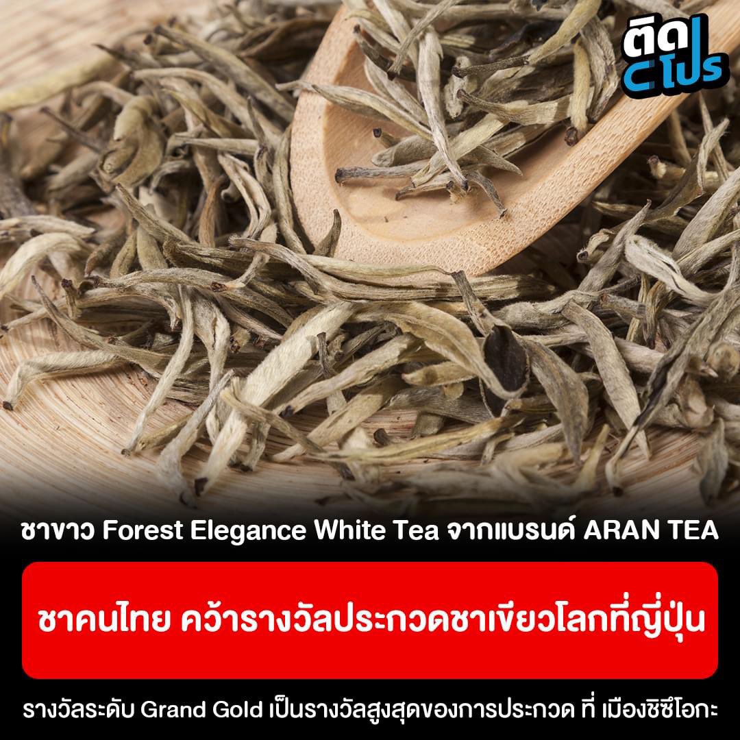 bleubell_'s tweet photo. หลายคนไม่รู้ แต่ชาจากไทยชนะในการประกวดระดับโลกมาด้วยในปี 2022 แล้วได้ Gold มาอีก 3 รางวัล ซึ่งชาทั้งหมดมาจากเชียงราย https://t.co/CiSOzQgGuN