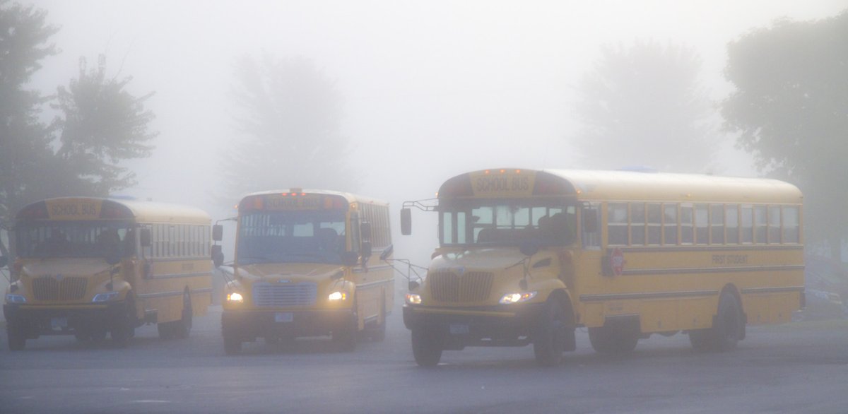 All buses in the city and county are cancelled this MORNING due to fog. Buses will be running in the AFTERNOON. Schools remain open.