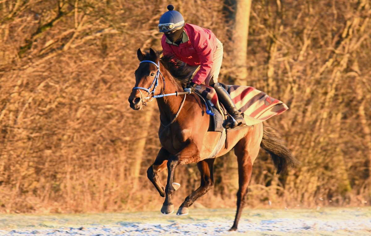 Maverick Style (Oasis Dream ex Dheyaa) runs in the Racing TV Handicap (due off at 5.30 p.m.) at Kempton this afternoon.  She is fit and well and races over 1 mile in the hands of jockey Rob Hornby.