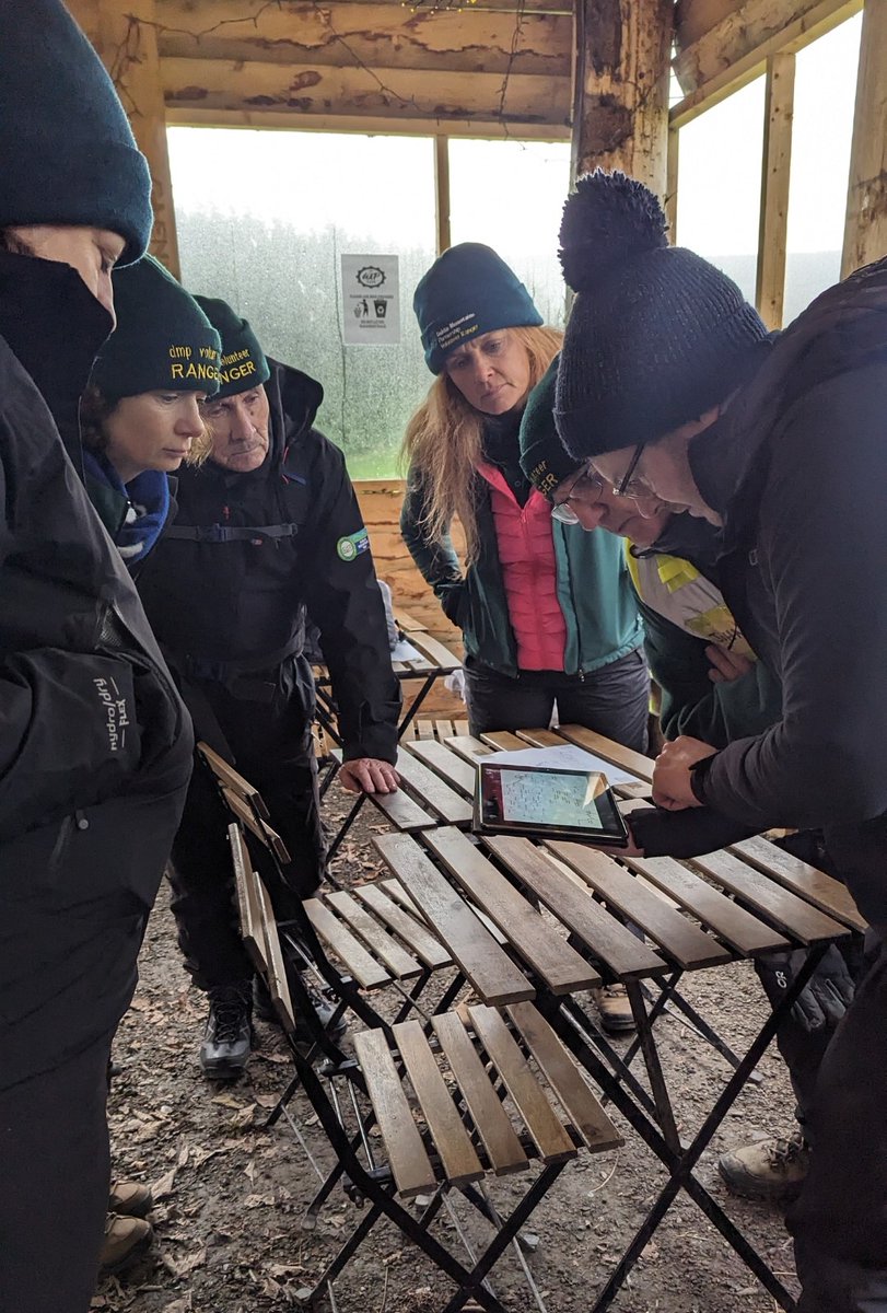 Dublin Mountains Community Archaeology tweet media