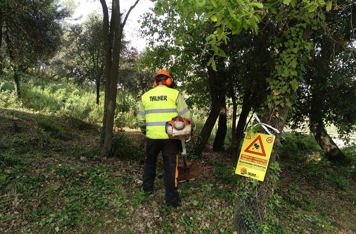 Talher_'s tweet photo. "Los incendios se apagan en invierno". 👉🏼Conviene recordar esta frase que resume los servicios forestales de prevención: mantenimiento de pistas, helipistas, puntos de agua, cortafuegos, franjas perimetrales, reducción de densidad...

#IncendiosForestales #IIFF #SoyForestal https://t.co/ZSQ7a9HTE0