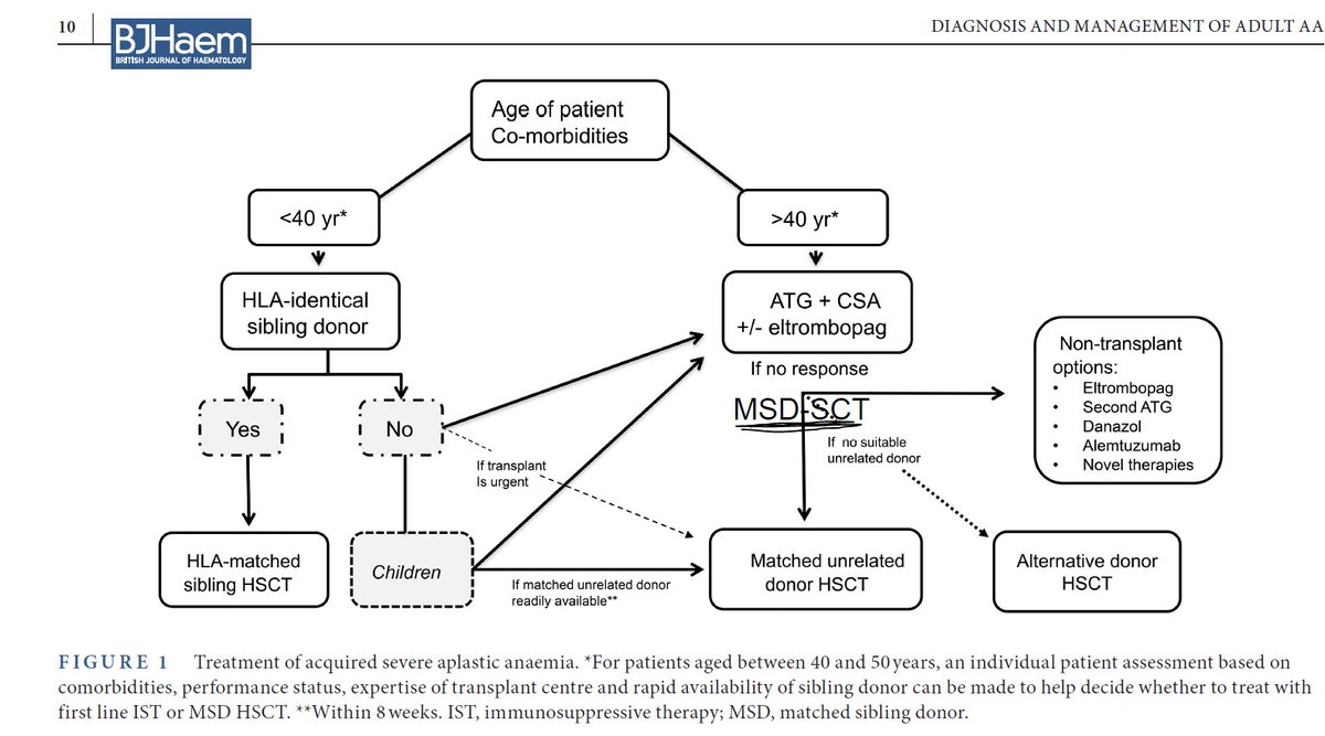 AhmedKo45911157's tweet photo. ▶️Guidelines for the diagnosis and management of adult aplastic anaemia: A British Society for Haematology Guideline 2024
🌍https://t.co/uj83jR00OE
#Aplastic #anemia #pancytopenia #hematology #education https://t.co/TDHrEw0oT5