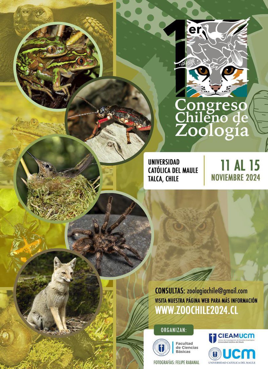 Te invitamos a a ser parte del proximo Congreso Chileno de Zoología, en Talca entre el 11-15 de Noviembre 2024! buscando unir todas las ciencias animales en un solo congreso!! Entomología, Ornitología, Mastozoología, Herpetología, Paleontología, Parasitología, Veterinaria y más!