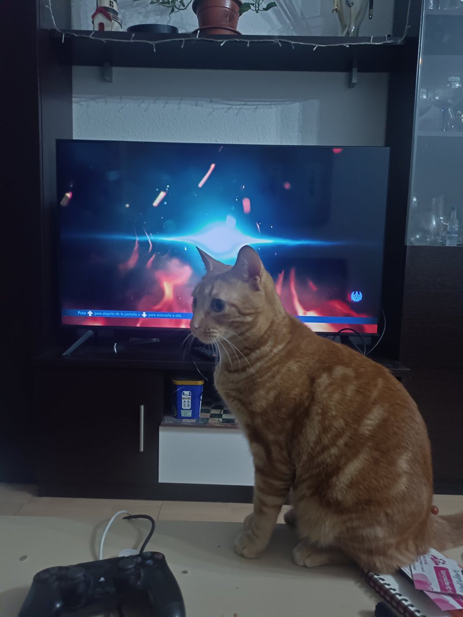 Kingarmor82 tweet media