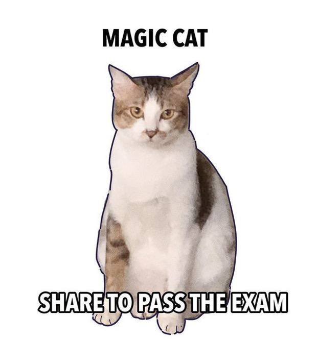 scusate ma necessito