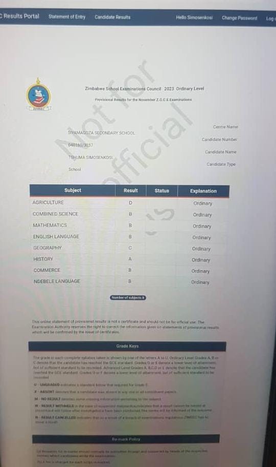 Obert Dube_The African Poet tweet media