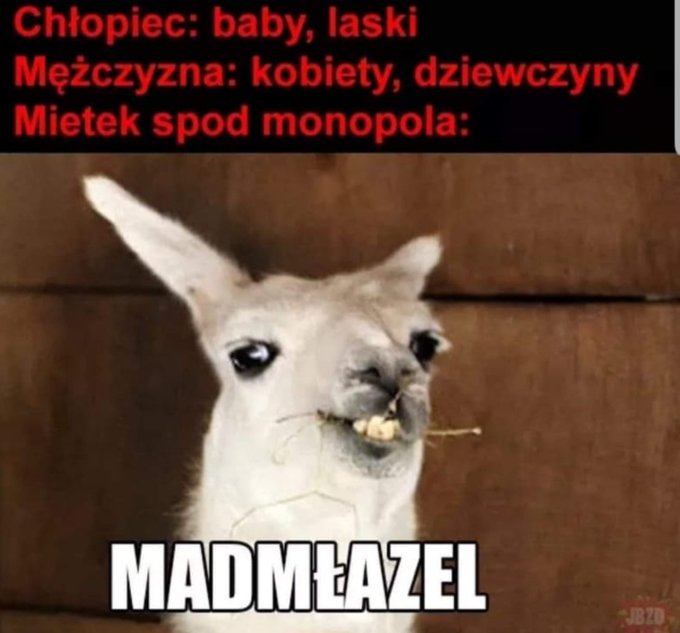 GEmnZVUWoAAUnG3
