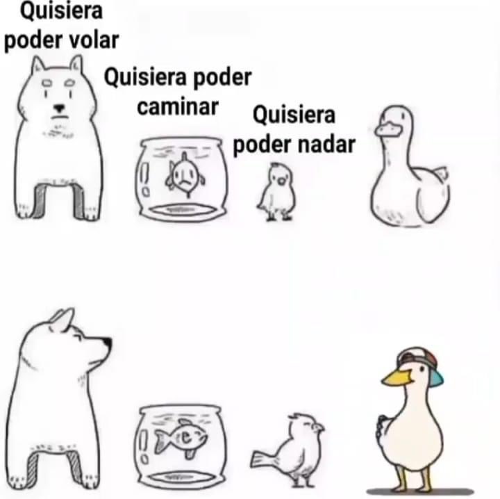 Enséñame de Ciencia tweet media