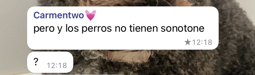 me fascina carmen preguntando por la perra sorda de paula