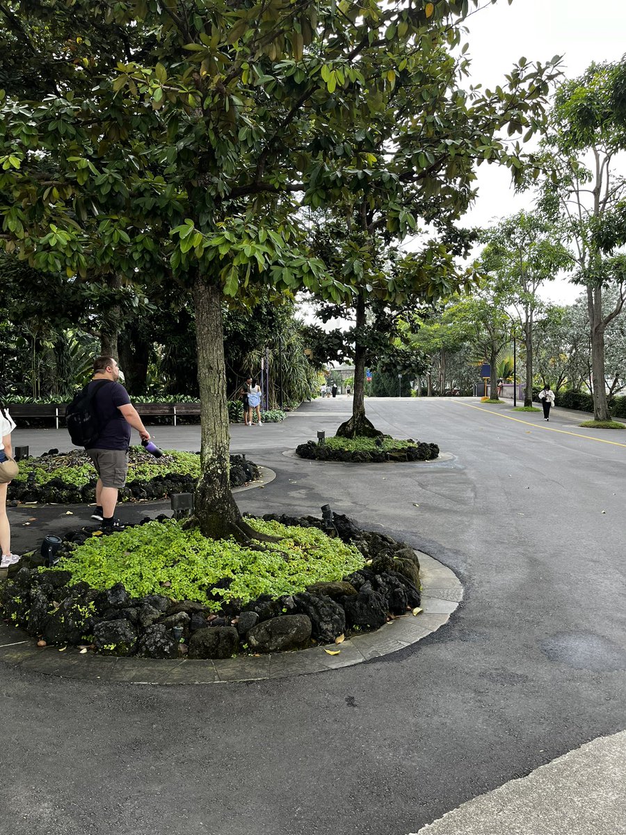 waallouh's tweet image. Today in Singapore we decided to walk around the bay, and on top of the hotel, quite a lovely view ! @Ubisoft @skullnbonesgame