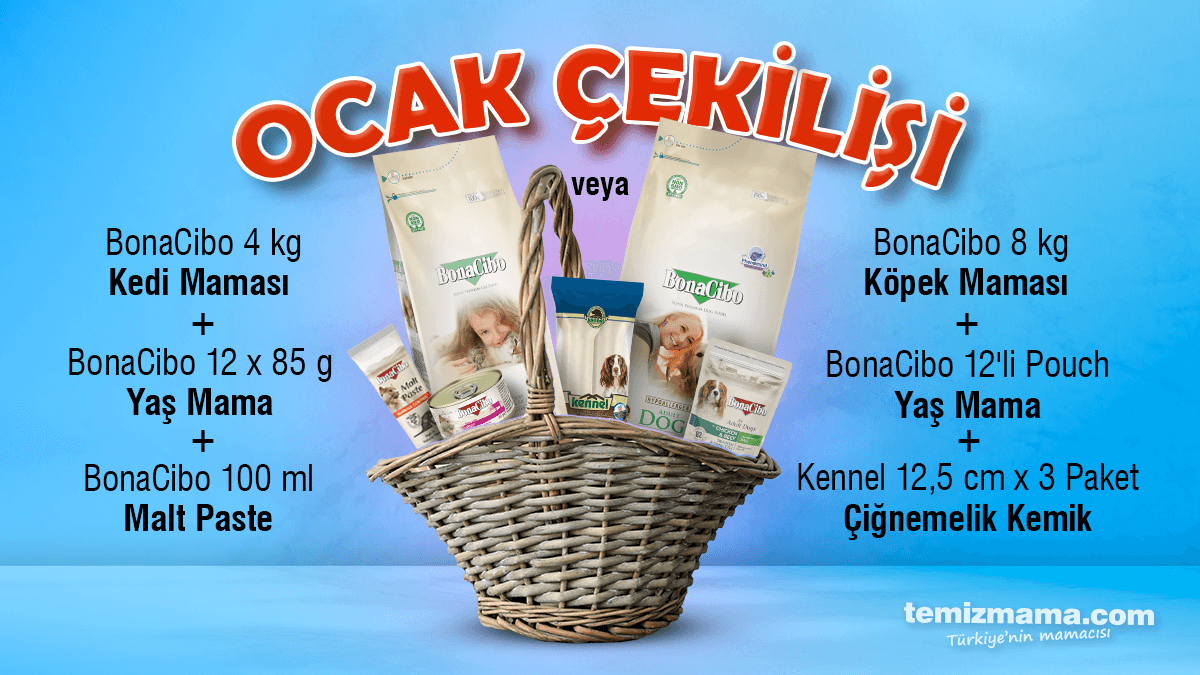 Temizmama tweet media