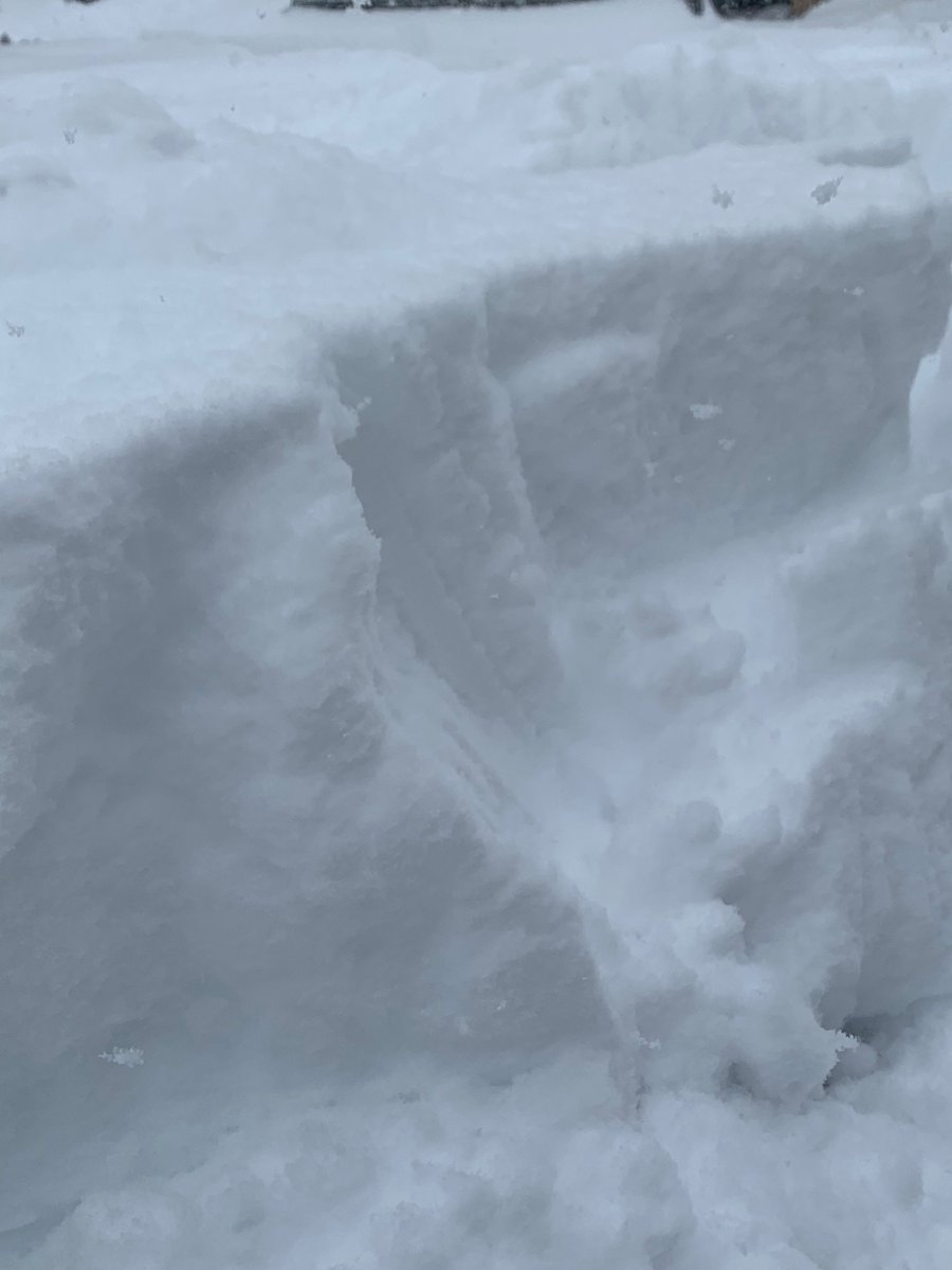 日中、こんな感じでした☃️