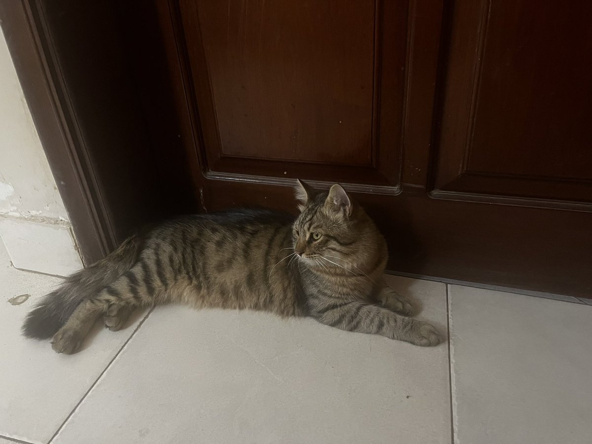 Zuha Siddiqui tweet media