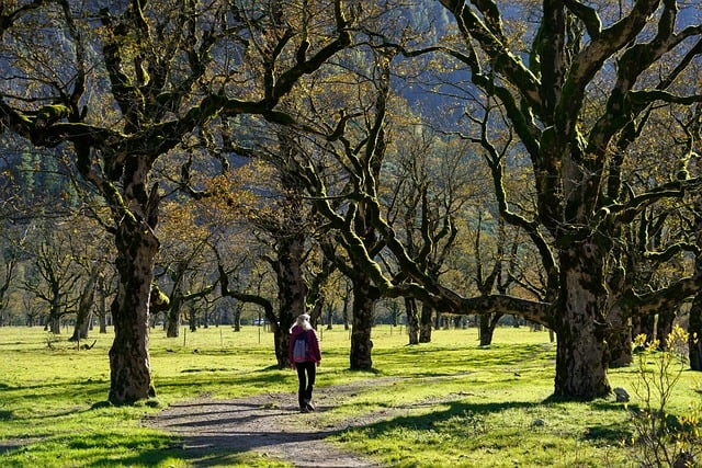 stayingwellmpft's tweet photo. Wrap up warm and get out for a walk, even if you can only manage 5 minutes, you will benefit from it. If you can access green spaces even better as these provide calming environments to relax and reset!
#walking #mentalhealth #mpftnhs https://t.co/Cg3mwmV5by