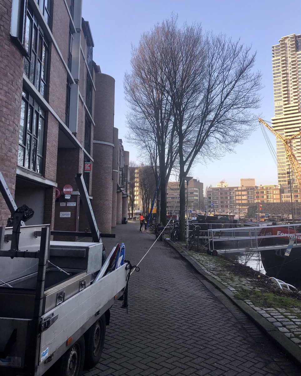 Aan de kades Centrum <a href="/rotterdam/">Gemeente Rotterdam</a> worden bij 57 bomen stabiliteitsmetingen uitgevoerd.
Tijdens twee recente stormen zijn hier bomen omgewaaid. Met deze metingen kan de veiligheid voor de omgeving, o.a. schepen en woningen, worden gewaarborgd.
<a href="/RTV_Rijnmond/">Rijnmond</a>