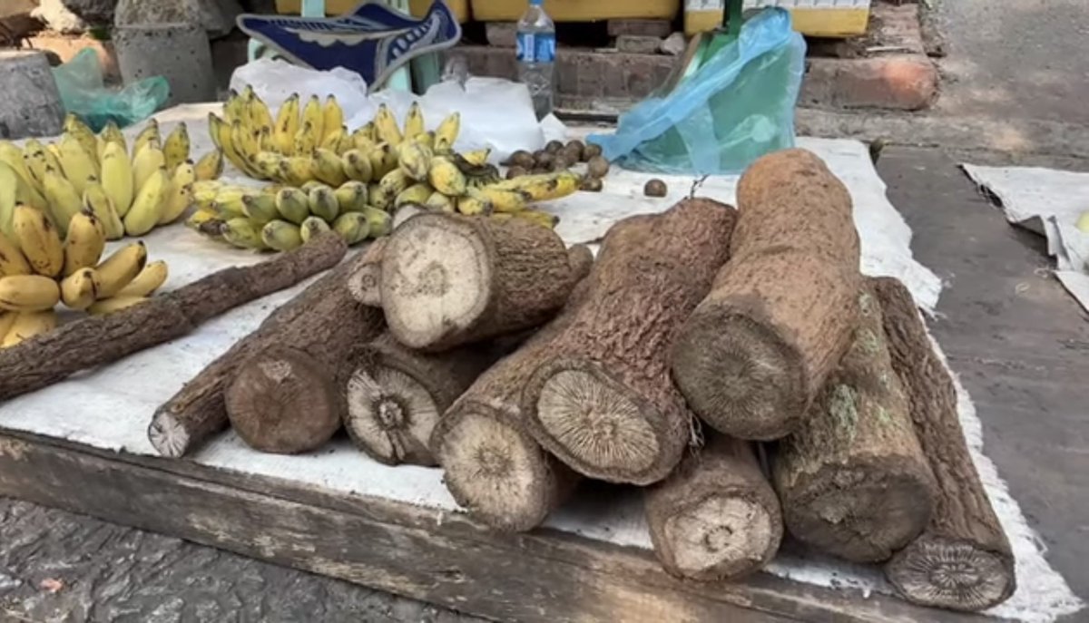 For those of you wondering what this wood was being sold at the Luang Prabang morning market in Laos, it is called Mai Sakahan or Lao Chili Wood used to add spiciness to stew and it also leaves a numbing sensation in your mouth.