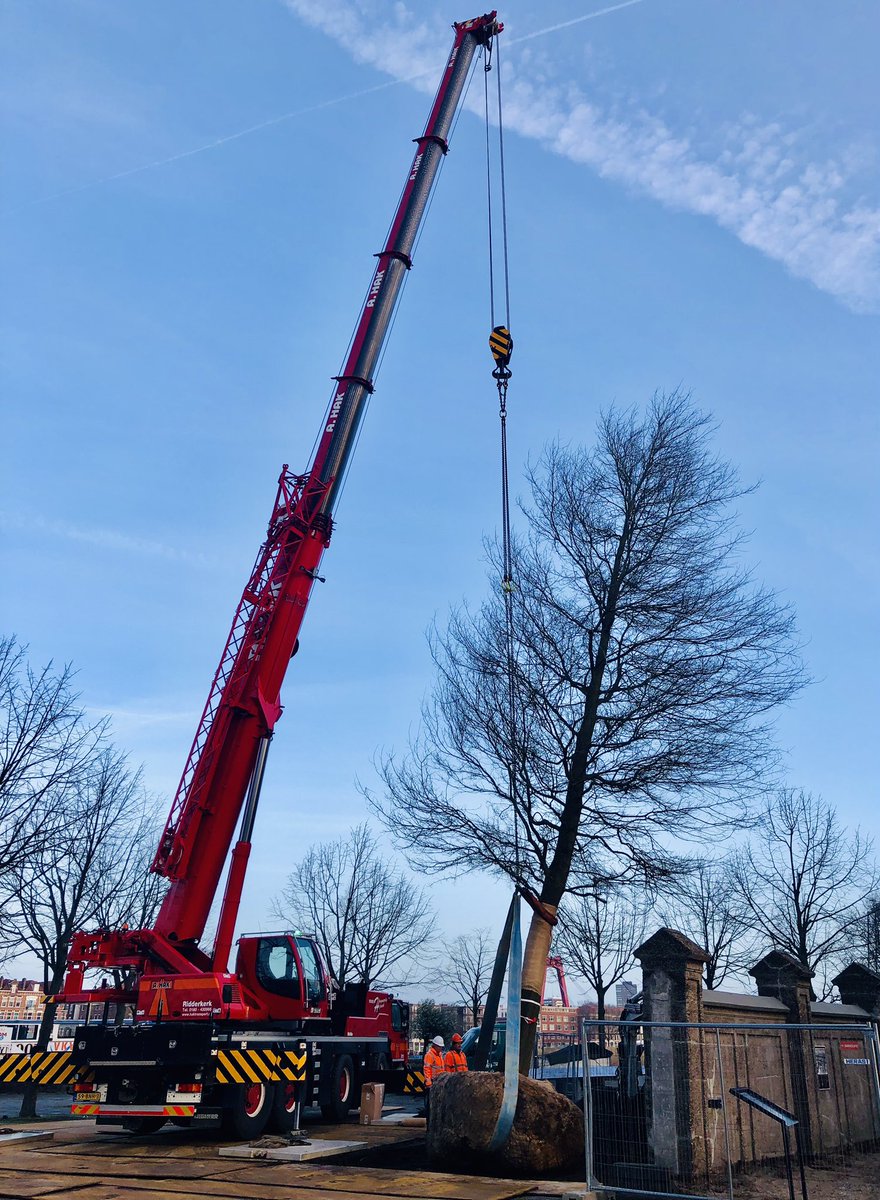 Toen de oude iep bij het monument van Loods24 <a href="/rotterdam/">Gemeente Rotterdam</a> afgelopen zomer door de iepziekte werd geveld, moesten wij even slikken.
Nu het moment van aanplant van de vervanger, een wilgbladige eik (Quercus Phellos) met ruime groeiplaats onder een vlonder.
<a href="/vincentkar/">Vincent Karremans</a> <a href="/RTV_Rijnmond/">Rijnmond</a>