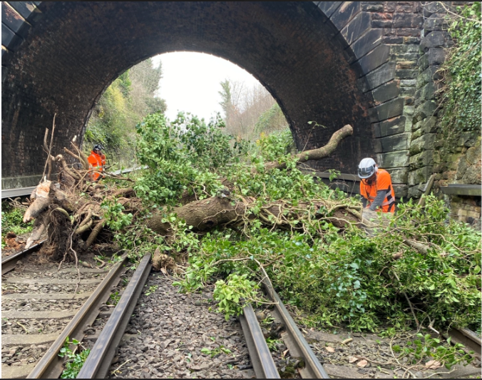 merseyrail's tweet photo. ⚠️ Hunts Cross Disruption 

ℹ️ The tree has now been removed from the line and services are beginning to return to normal. Some services may still face delays or alterations. 

Thank you to the team at @NetworkRailLIV for your incredible hard work today! 💪 https://t.co/BuPOpD9ZPT