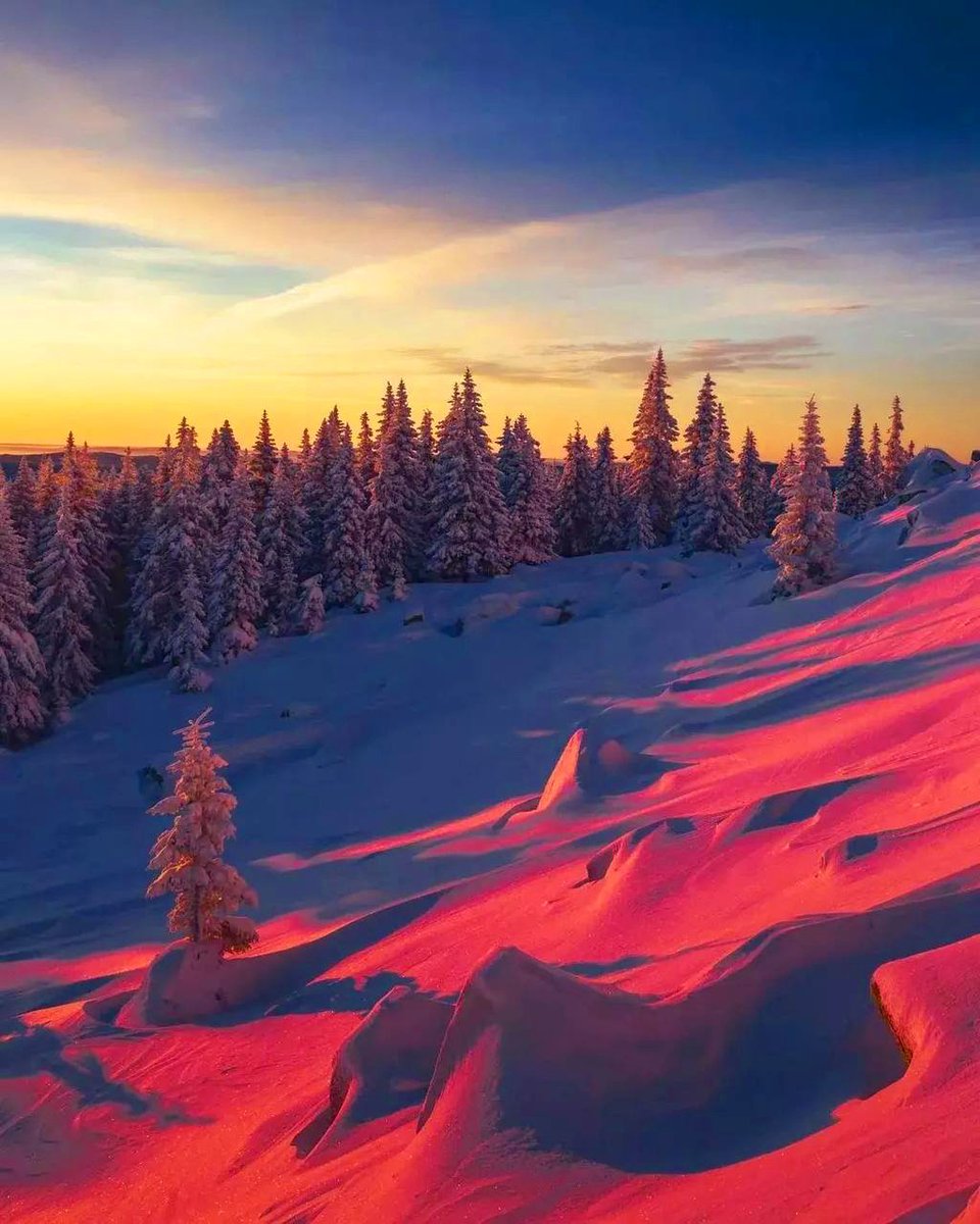 LanaToro21's tweet image. Добрый день, Эмре!☺️👋 У нас снег с дождём, +2🌧❄️🌧
#Telegram #Cheliabinsk