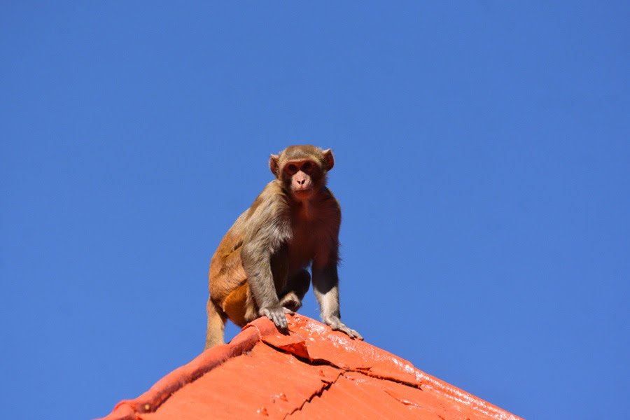 News Algebra tweet media