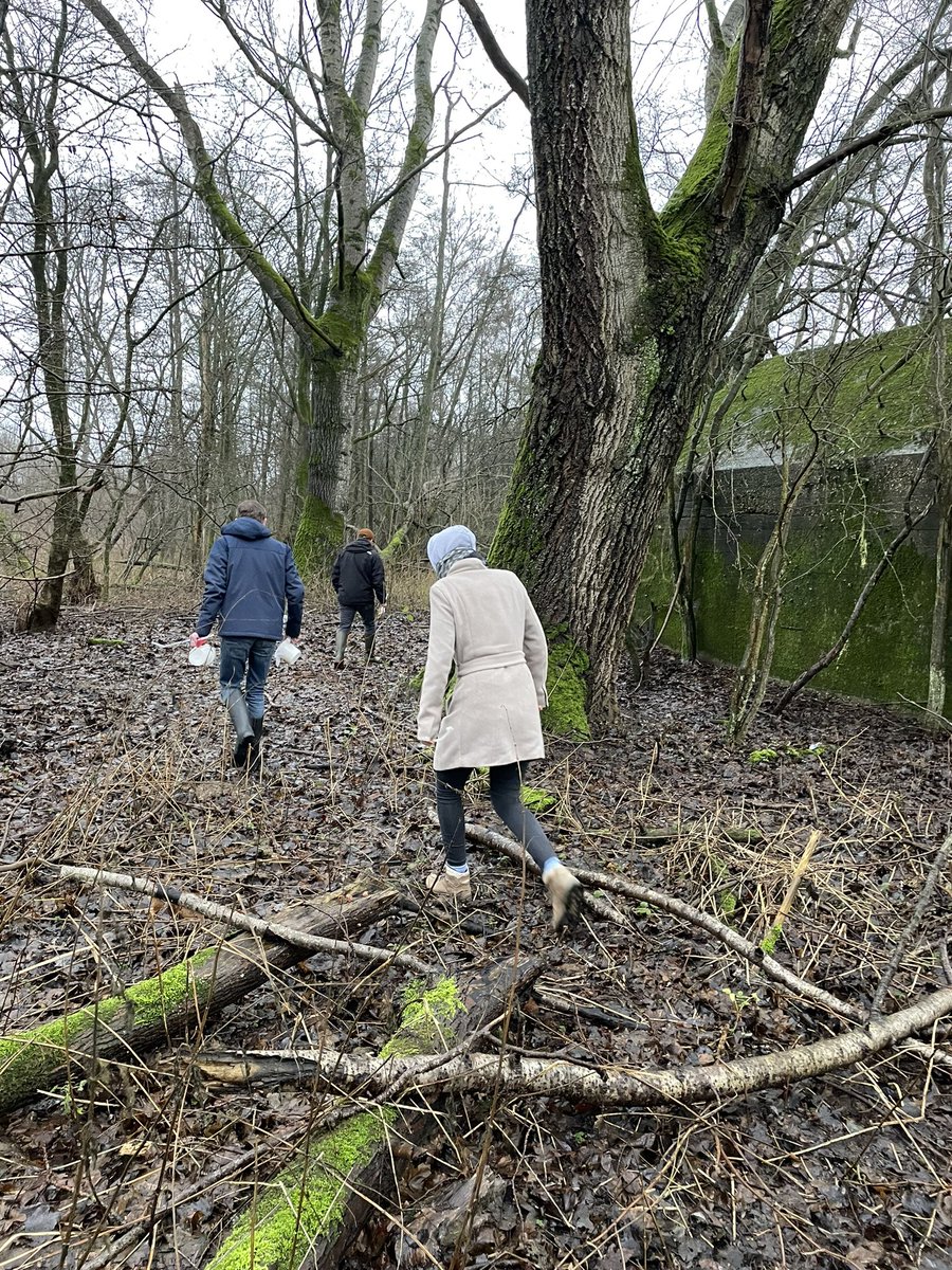 David Castañeda tweet media