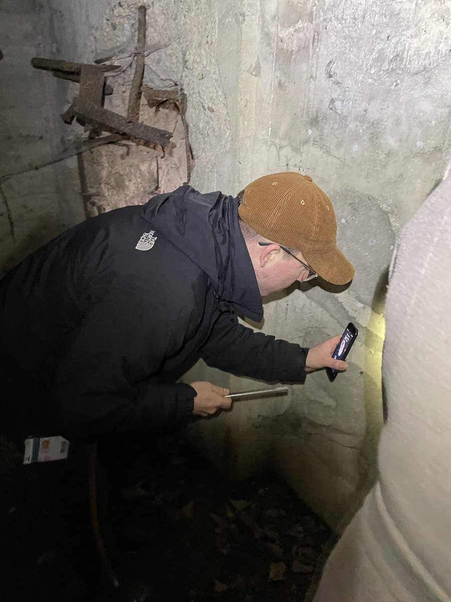 David Castañeda tweet media