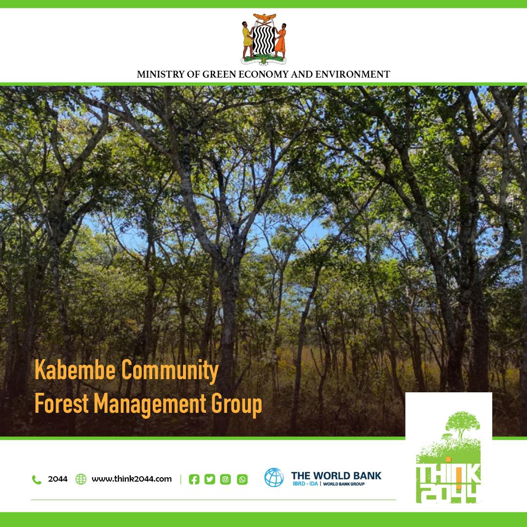think2044's tweet photo. The Kabembe Community Forest Management Group, located in Chief Munkanta’s chiefdom, is dedicated to optimizing 3,500 ha of forest. Backed by the TRALARD project’s funding for alternative livelihoods, they now strive to improve income and food security for six villages. https://t.co/WbIxgWimMh