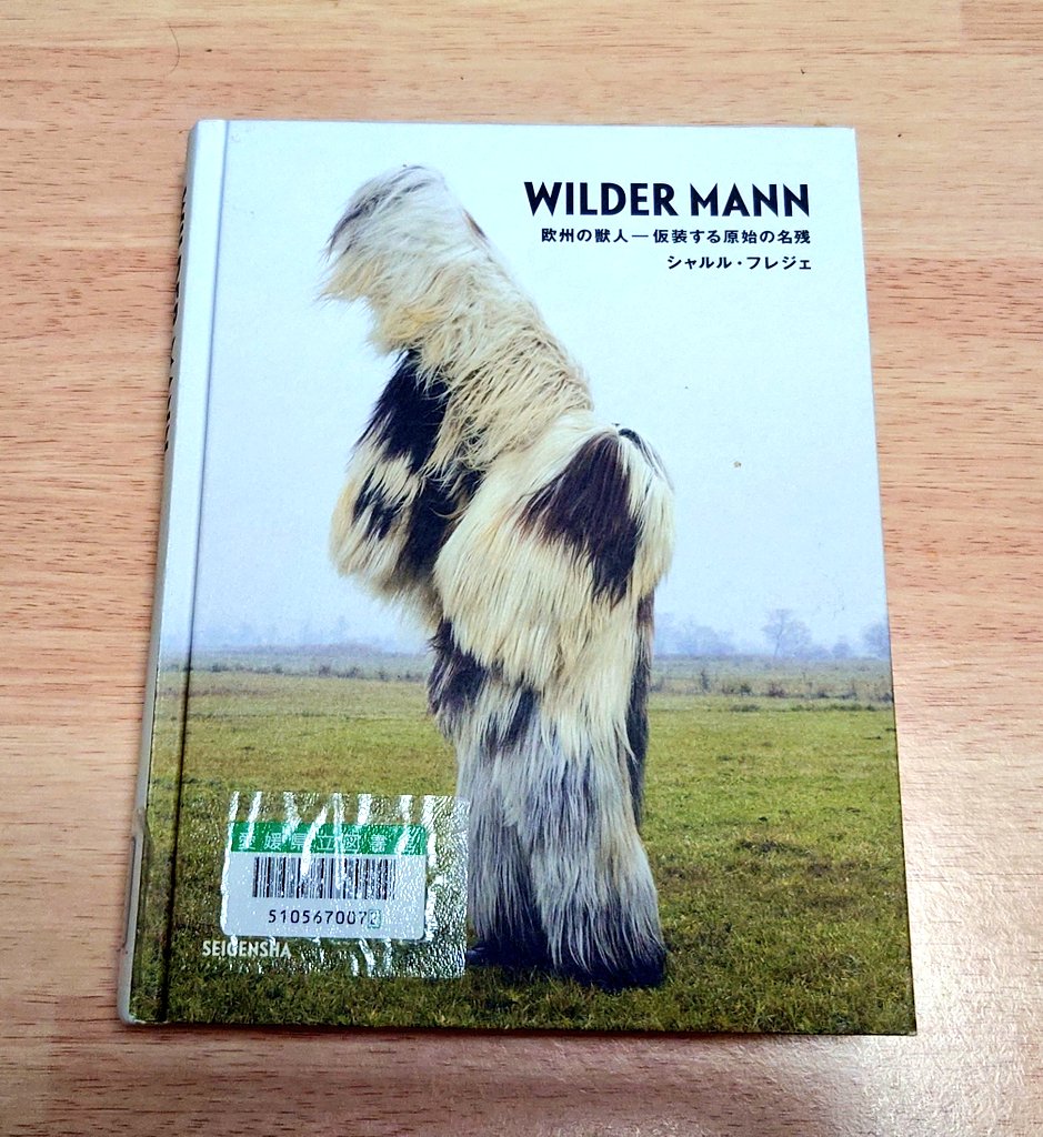 LUX シャルル フレジェ WILDER MANN シャルル・フレジェ アートブック