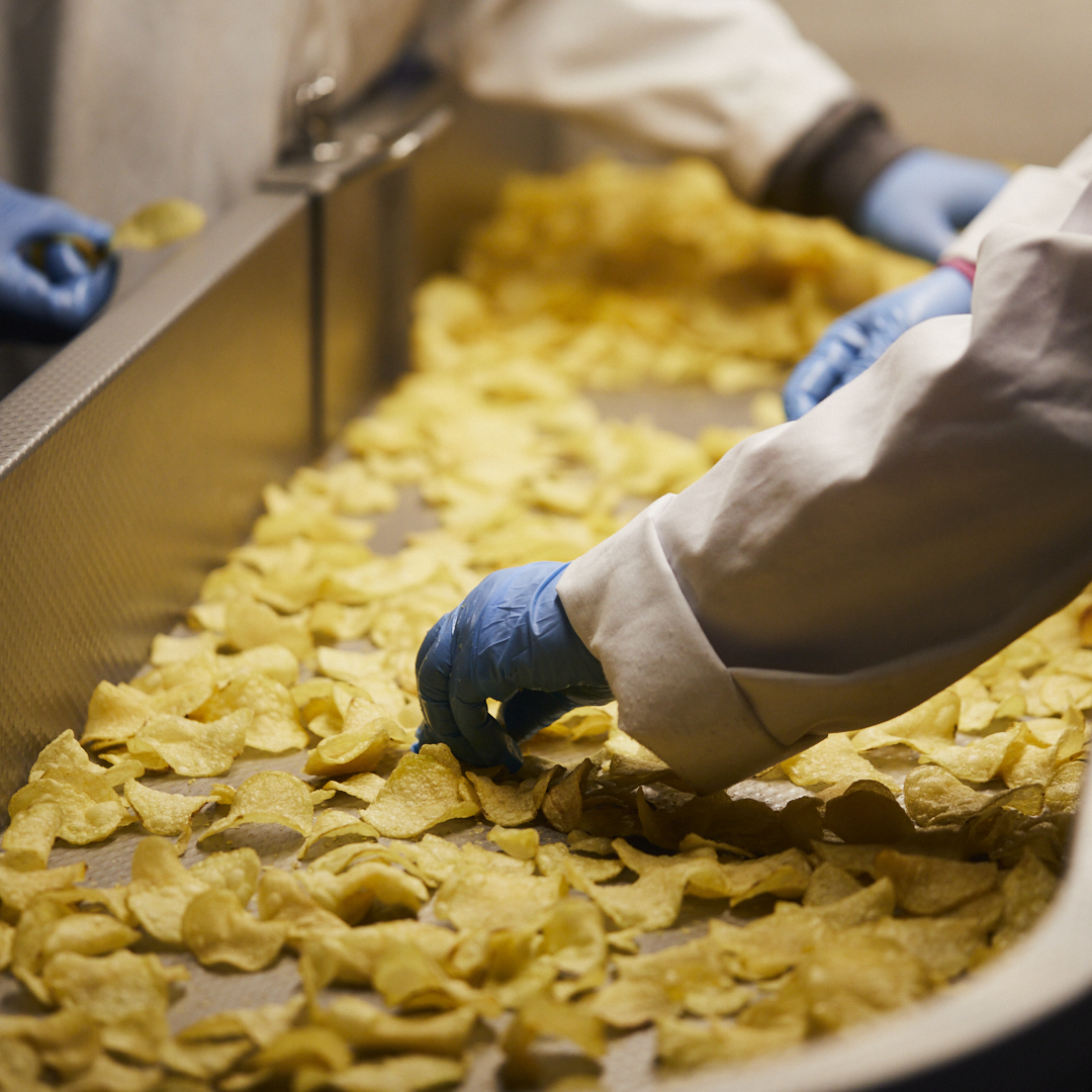 We grow, harvest, store, slice, and hand cook our potatoes in small batches on our Herefordshire farm, using renewable energy we generate through our on-site anaerobic digester. All our delicious flavours are made using local ingredients; what is your flavour of choice?