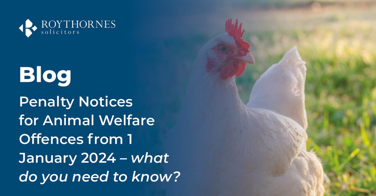 From January 2024, local authorities, the Food Standards Agency and other authorities are able to serve #Fixedpenaltynotices on individuals and #businesses who contravene #animalwelfare law. Take a look at what you need to know about the new rules. ➡️ ow.ly/pXpx50QsZt6