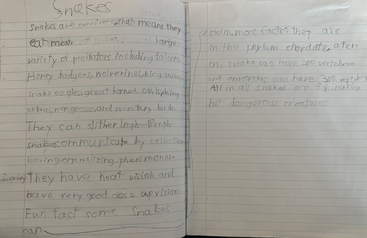 BPSHawks3 tweet media