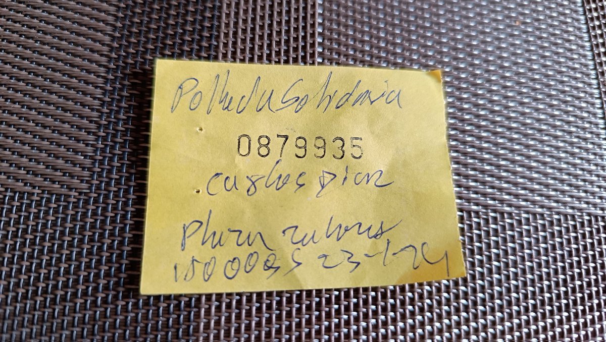 Viviacuna's tweet photo. Hilo de como nos estafaron con esta rifa a guau beneficio 😢 
en la ciudad de Fernando de la mora! https://t.co/PVCJ1BTzIW