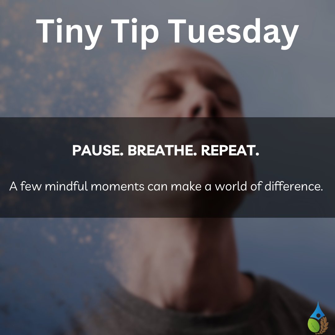 NewGenAgri's tweet image. 🌬 Tiny Tip Tip:

Pause. Breathe. Repeat.

A few mindful moments can make a world of difference. 💙

#MindfulBreak #TinyTip