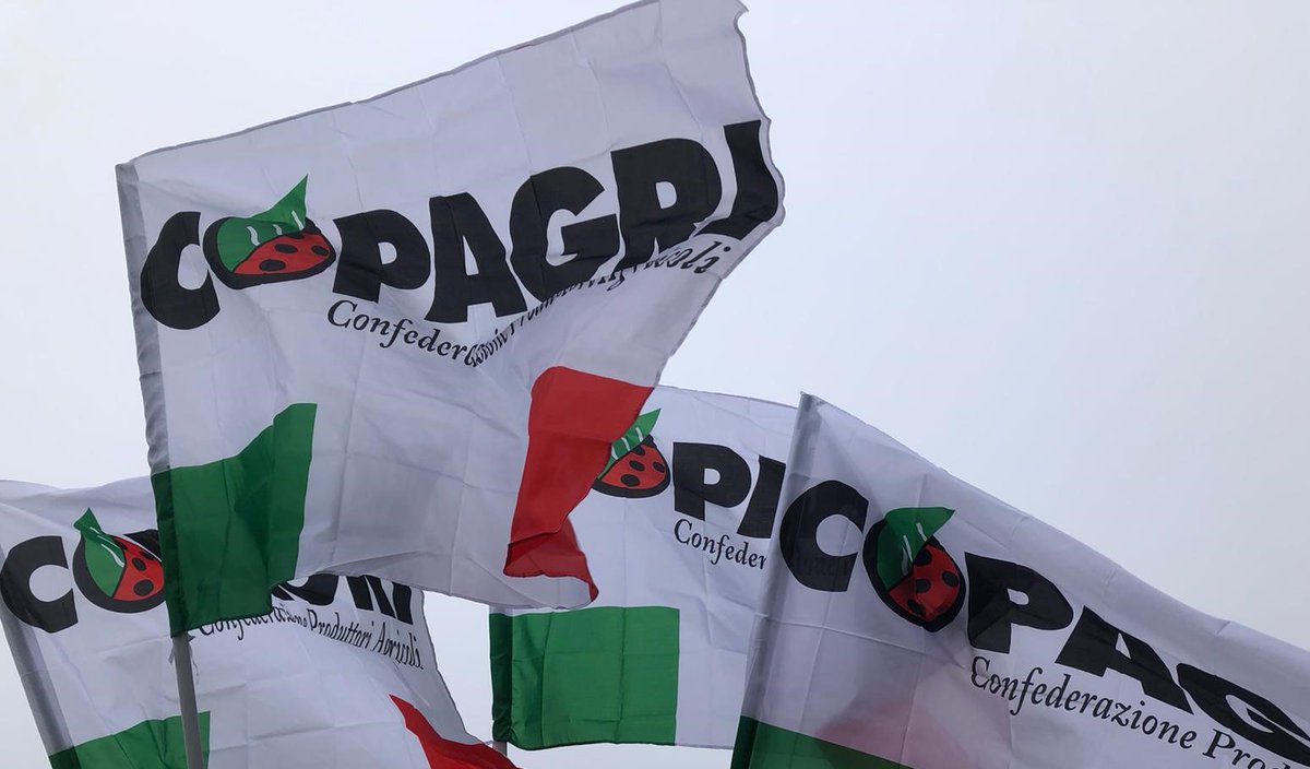 Copagri's tweet photo. Il dissenso è utile se porta a un confronto costruttivo e a gettare le basi per un #futuro migliore.

@TBattistat, non si possono ignorare le motivazioni delle proteste, ma non si può disconoscere quanto è stato fatto e si sta continuando a fare.

https://t.co/NcEeGIc62g https://t.co/VWSkiRj66v