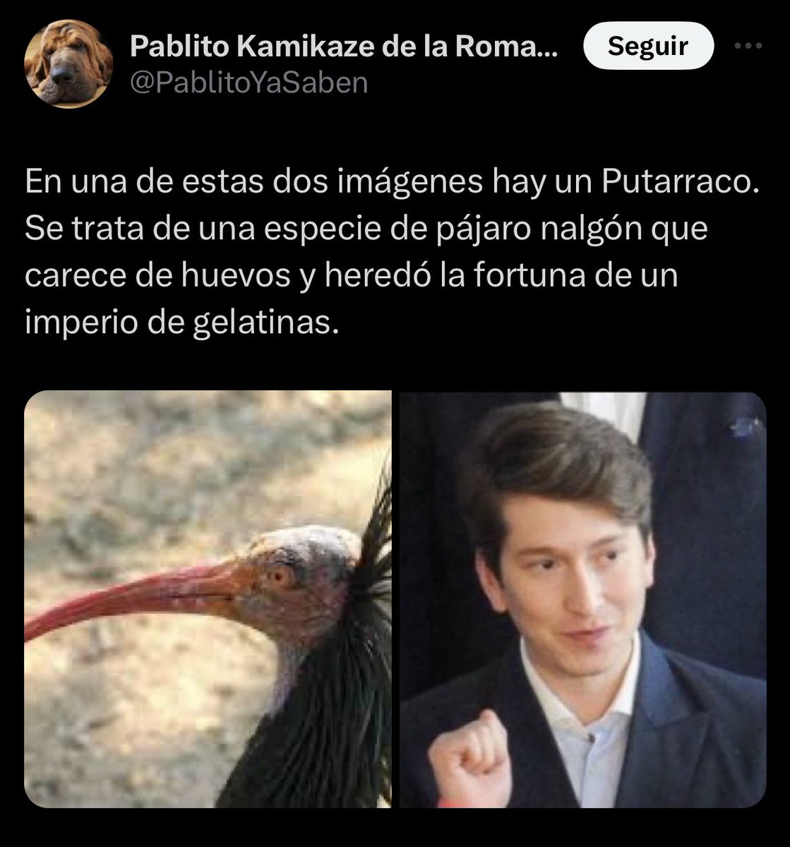 Luis González on X: ¿Dónde andan los HIPÓCRITAS que se quejaban  amargamente de que se metían con el hijo del presidente?  t.co7MC02RSTwx  X