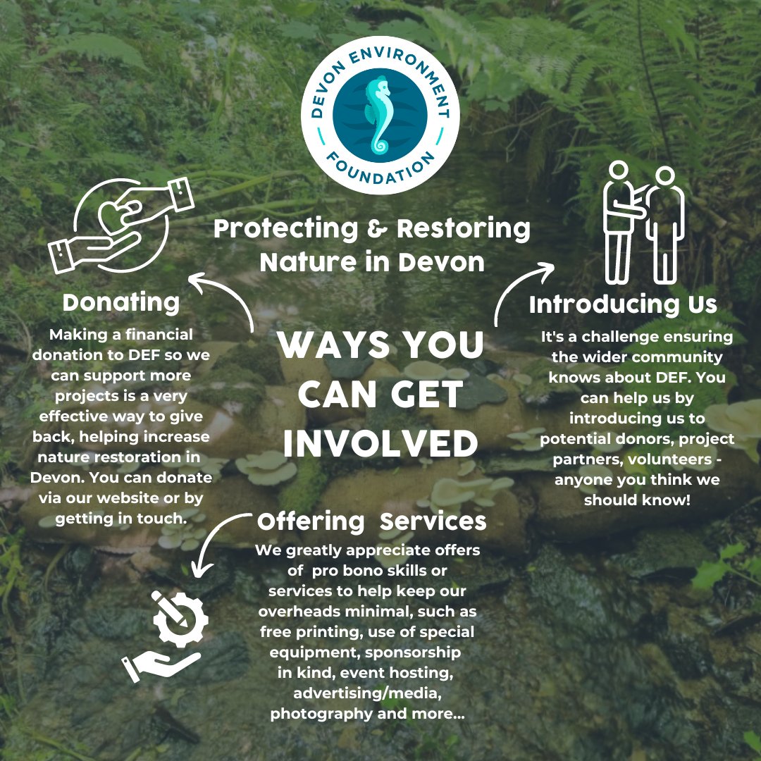 devon_enviro's tweet image. Looking for ways to do something meaningful for nature this year but don’t know where to start? 🌍 As a small charity, your involvement can make a BIG difference. See the various ways you can get involved 🌳 #NatureLovers #SupportLocalProjects #GreenDevon devonenvironment.org/support-us-way…