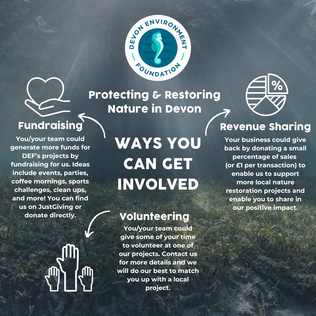 devon_enviro's tweet image. Looking for ways to do something meaningful for nature this year but don’t know where to start? 🌍 As a small charity, your involvement can make a BIG difference. See the various ways you can get involved 🌳 #NatureLovers #SupportLocalProjects #GreenDevon devonenvironment.org/support-us-way…