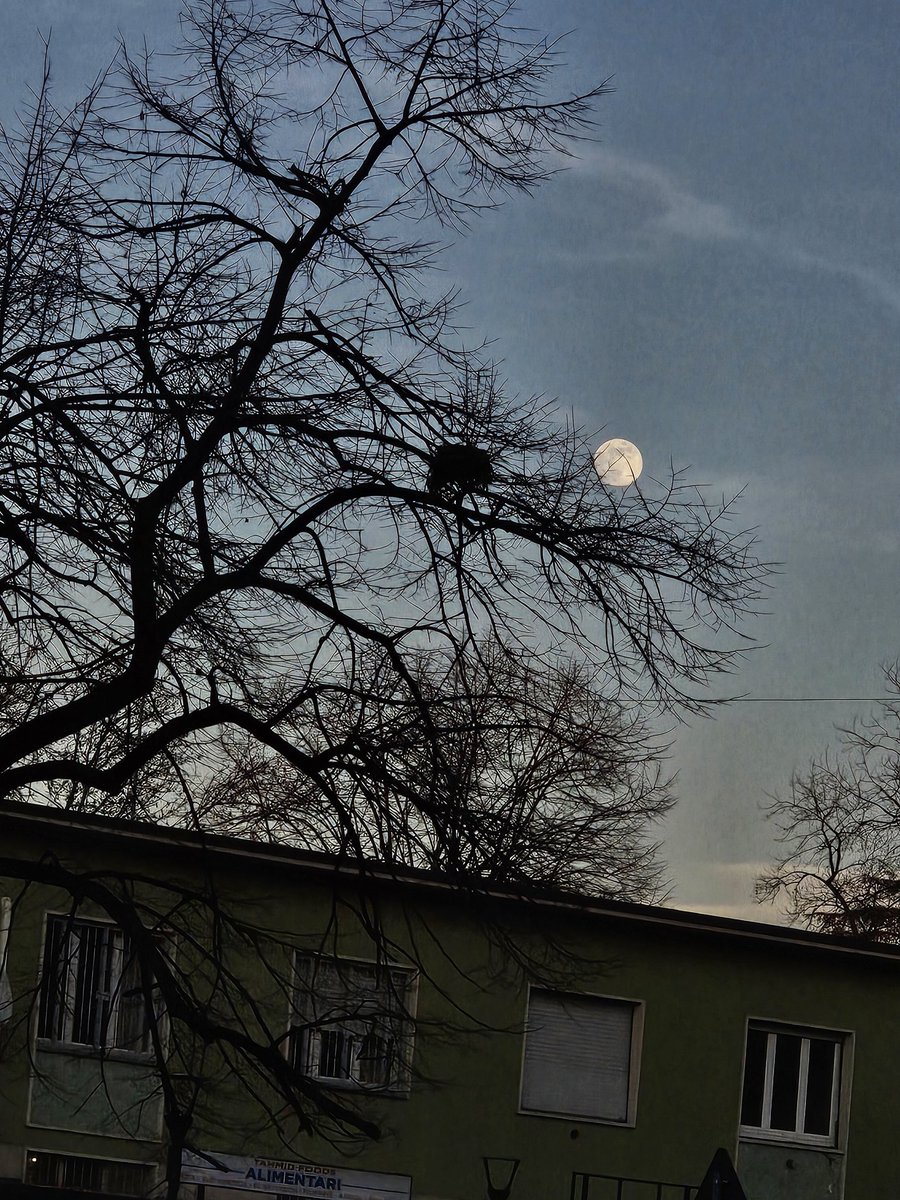 Il mio astro preferito la Luna complice degli innamorati  😀uno scorcio di Magritte per Voi ✨️⭐️🌛

Foto 📷 mia 
#24gennaio #buonaserata #LUNA #Milano